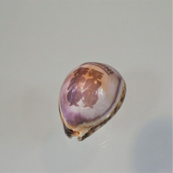 Vintage Cowrie Seashell Gemini Zodiac Sign - Picture 5 of 7